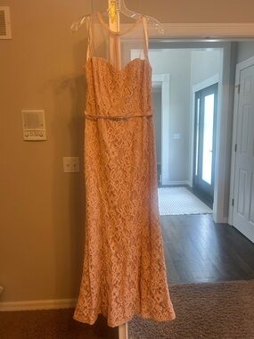 Bill Levkoff Pink Lace Evening Dress nwot